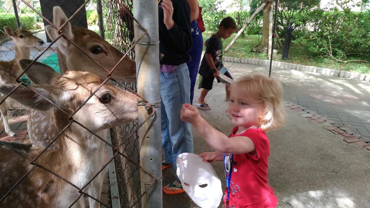 Howard Beach Resort Кеньдін Екстер'єр фото Feeding the kangaroos
